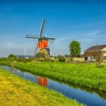 przewozy busami do holandii