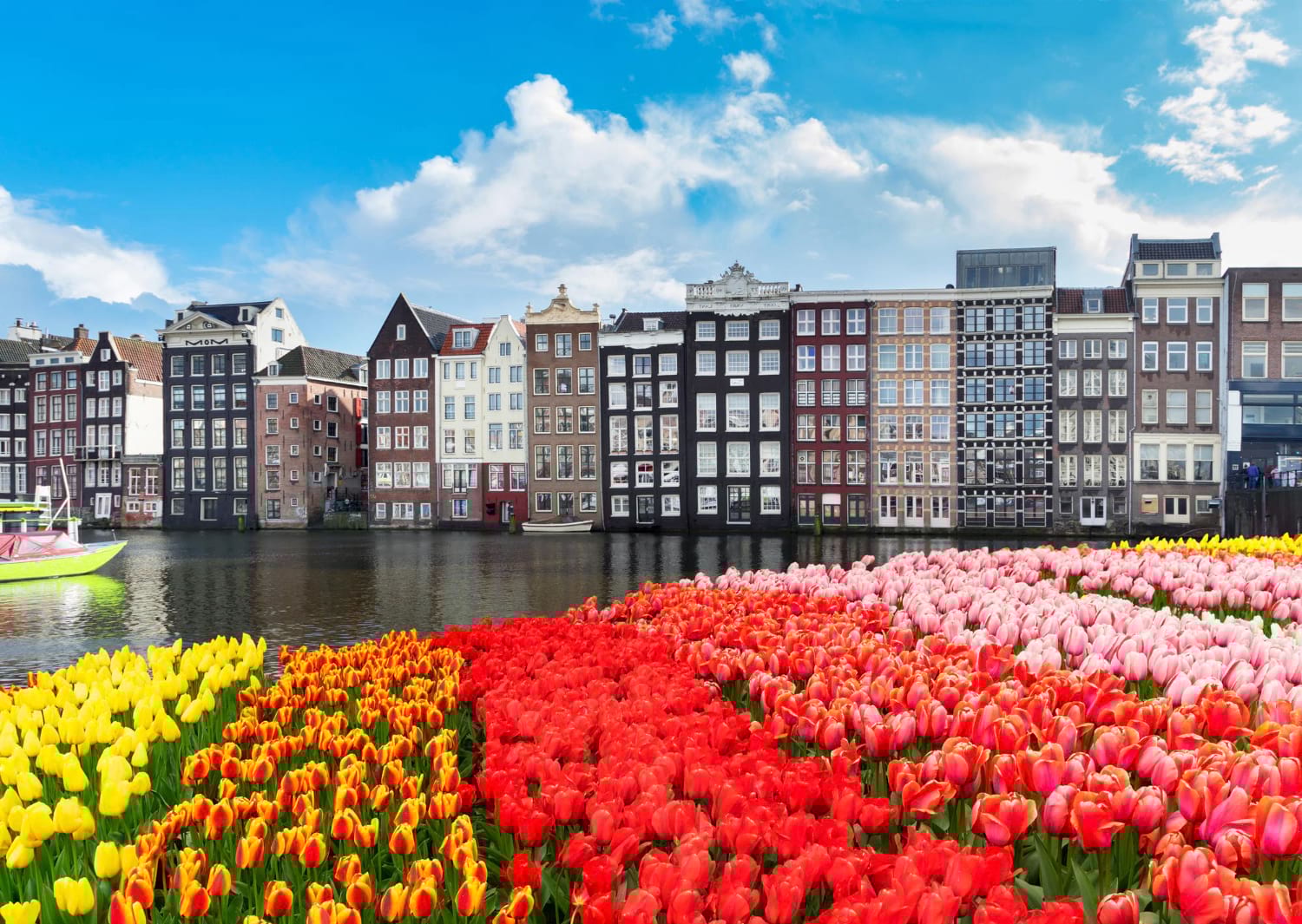 przewozy busami do holandii